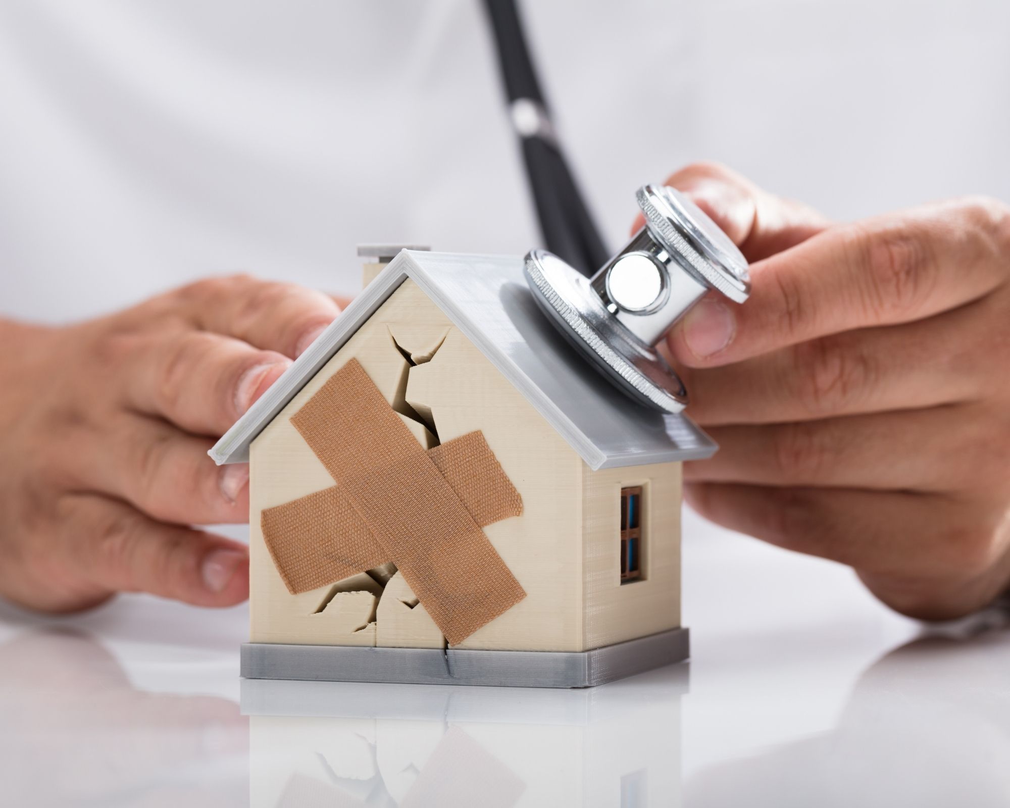 Expertise vices cachés immobilier Vices cachés immobilier